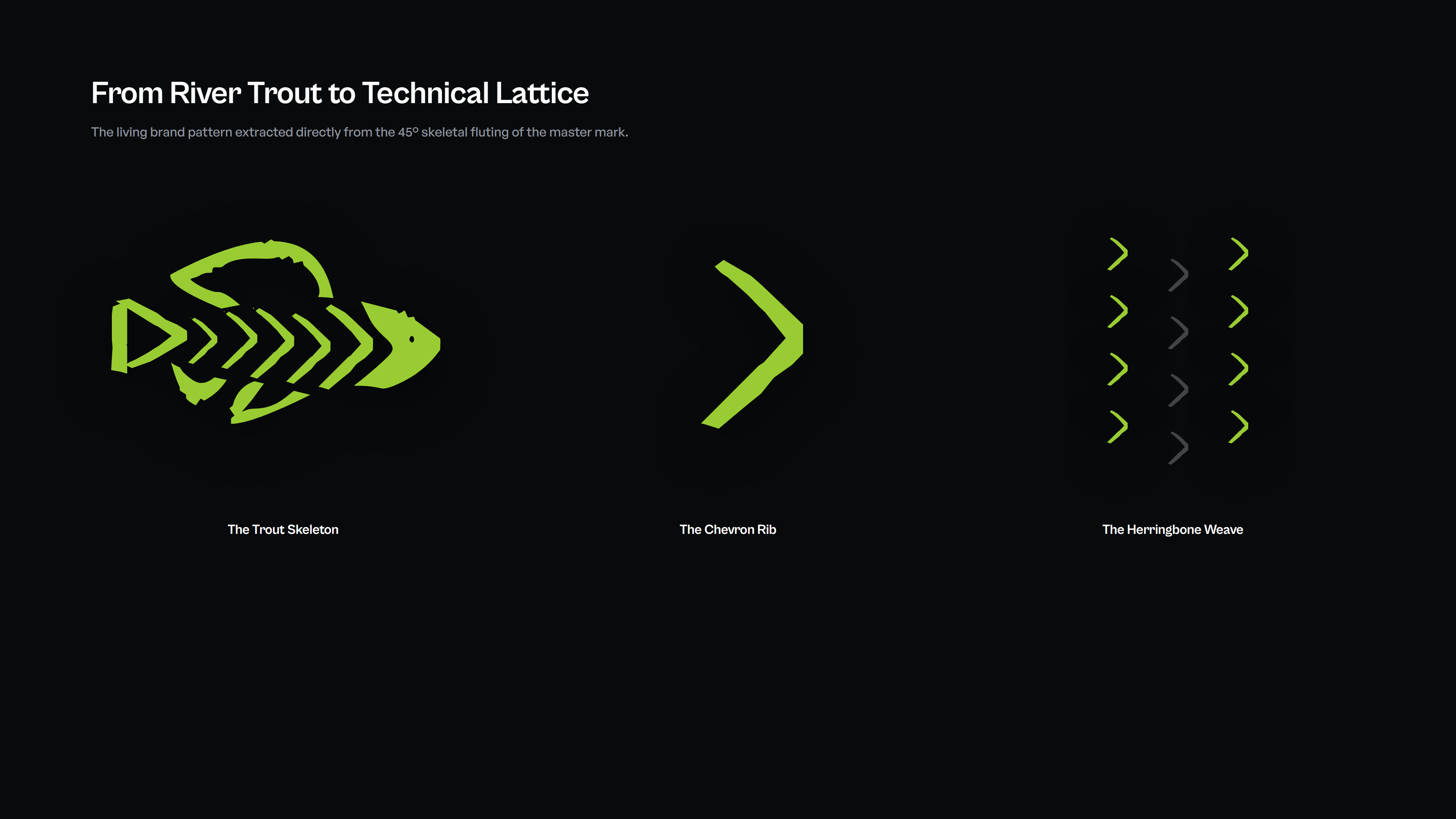 BEKKR Trout to Lattice Geometric CAD Deconstruction